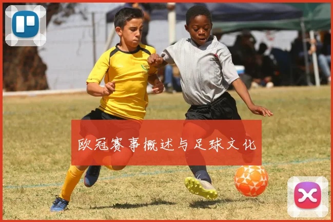 欧冠赛事概述与足球文化