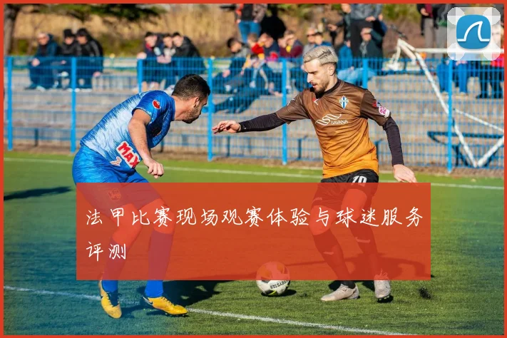 法甲比赛现场观赛体验与球迷服务评测